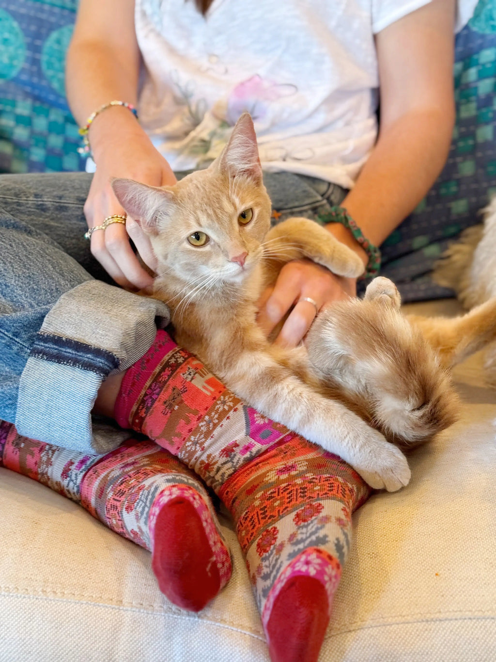 Boxed Boho Sock Set, Set of 3 - Cat