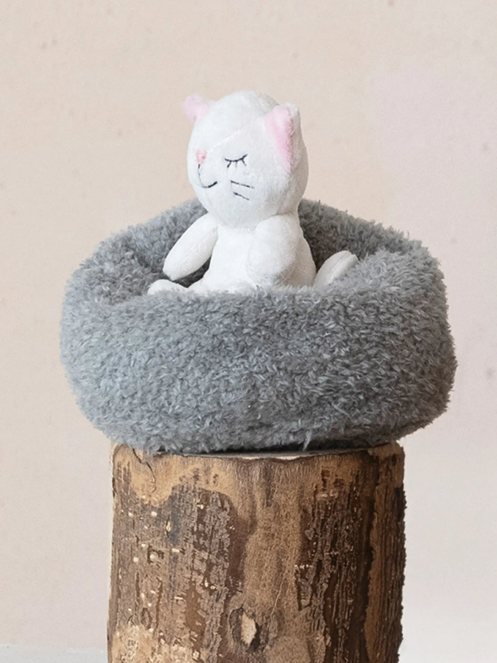 Beanbag Cat