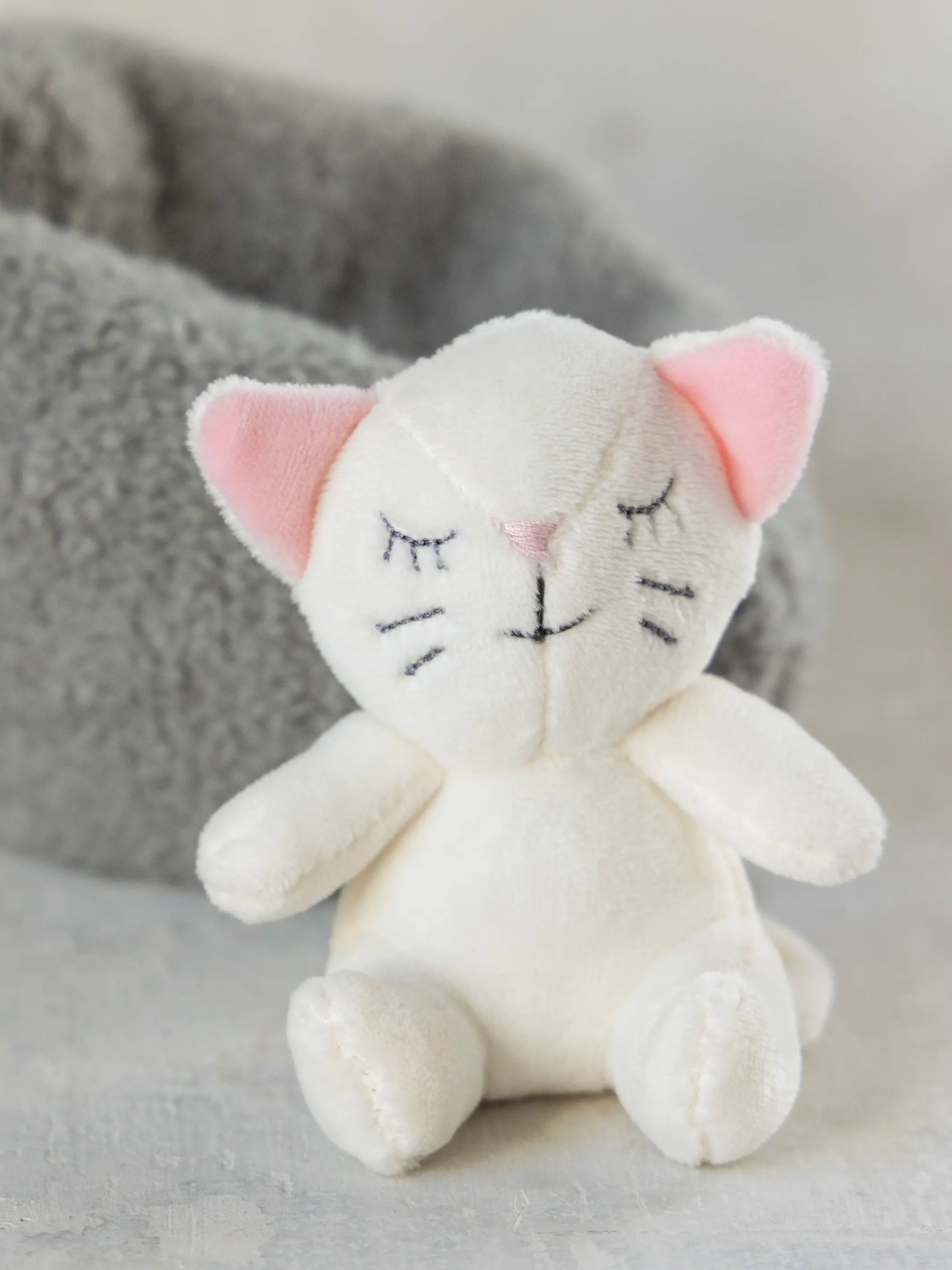Beanbag Cat